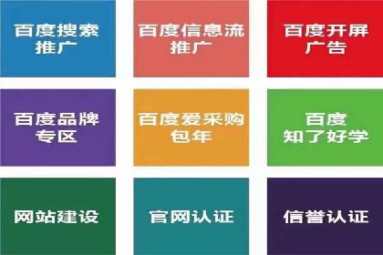 竞价推广策略：某电商平台的成功之路